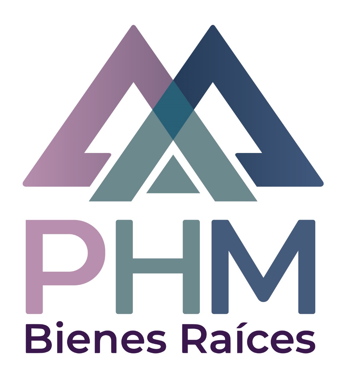 PHM Bienes Raíces